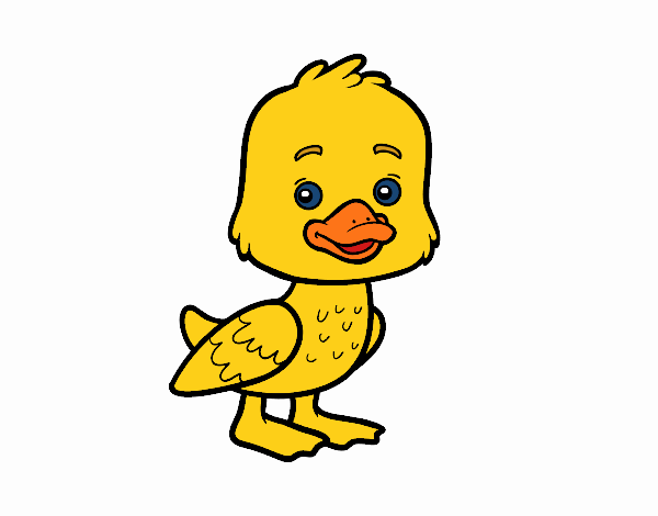 Un patito