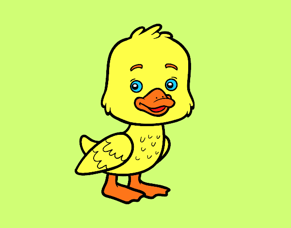 Un patito