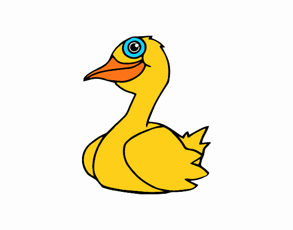 Un pato