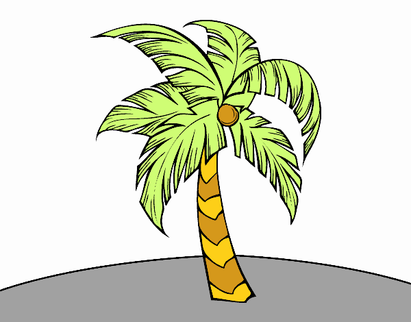 Una palmera