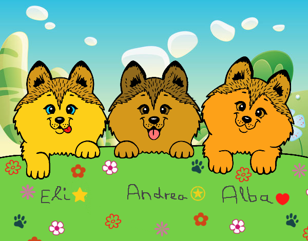 3 perritos