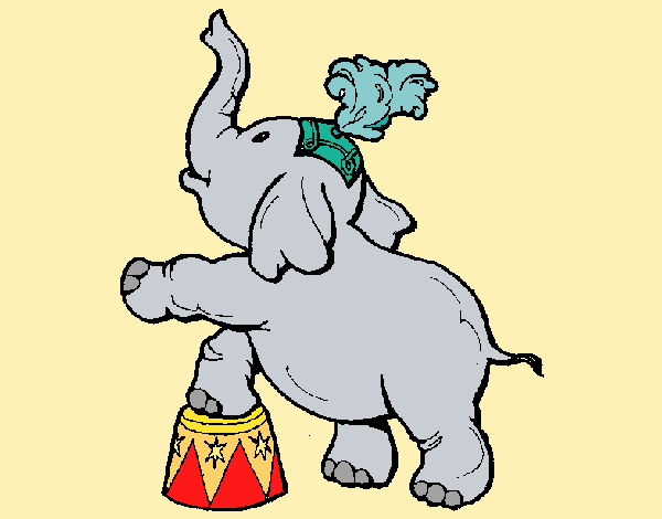 Elefante