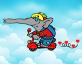 Elefante en moto