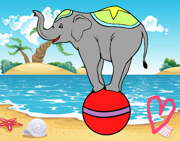 Dibujo Elefante equilibrista pintado por sheyla1