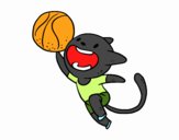 Gato jugando a baloncesto