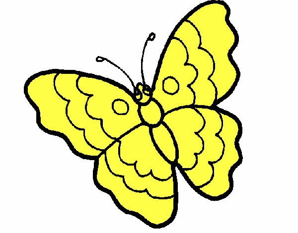 Mariposa 13