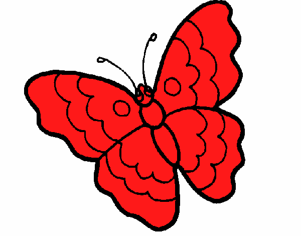 Mariposa 13