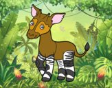 Okapi