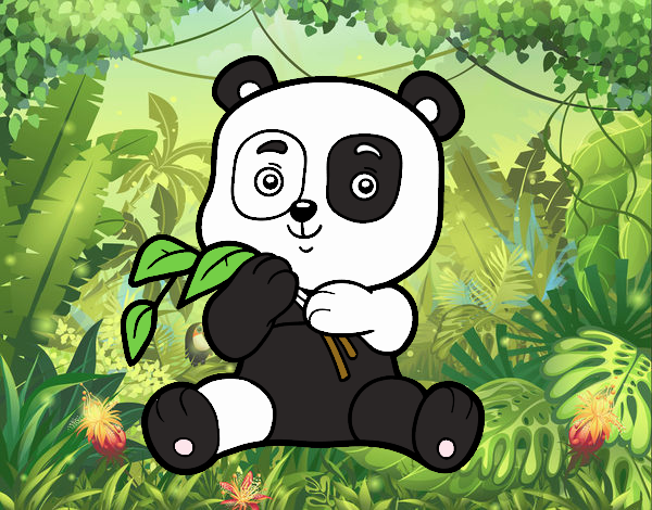 Un oso panda