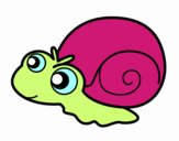 Caracol bebé