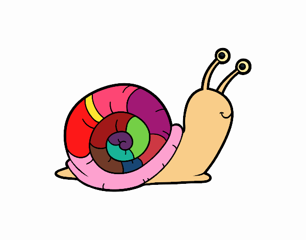 El caracol