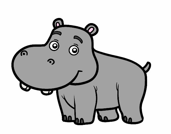 hipopotamo joven