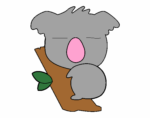 Koala bebé