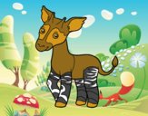 Okapi