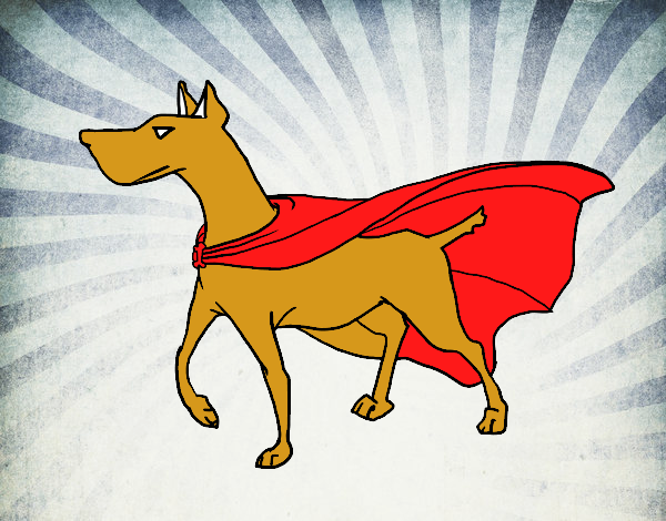Perro superhéroe
