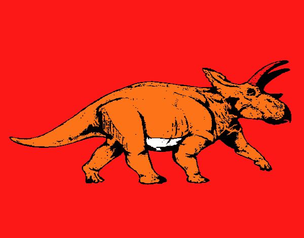 Triceratops 1