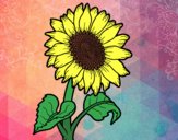 Dibujo Un girasol pintado por onelove