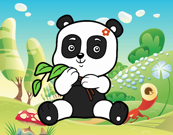 Un oso panda