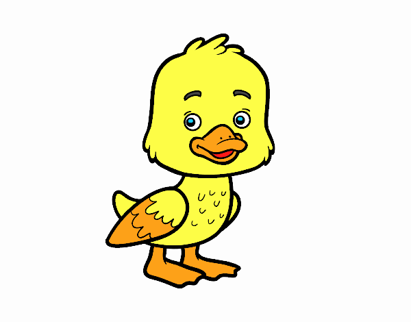 Un patito