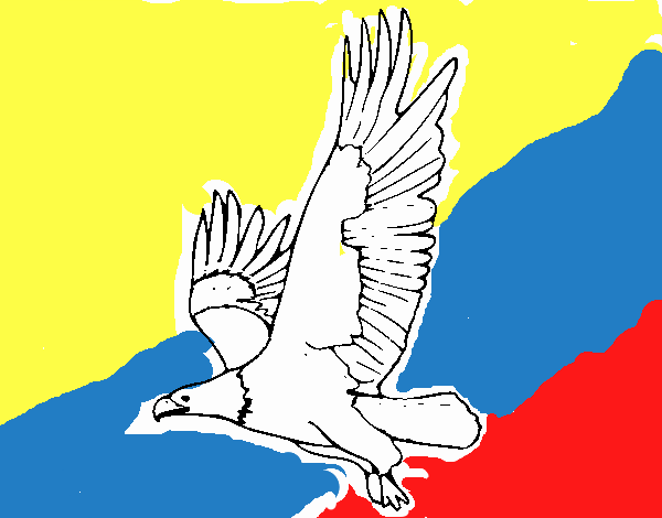 Águila volando