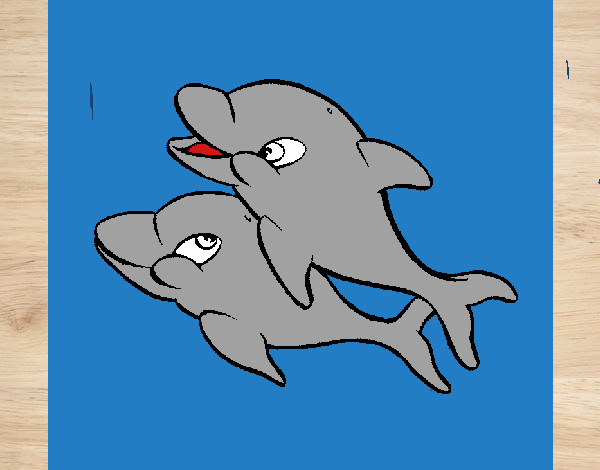 delfines en el mar