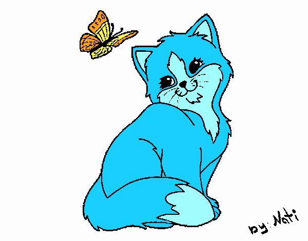 Gatito y mariposa