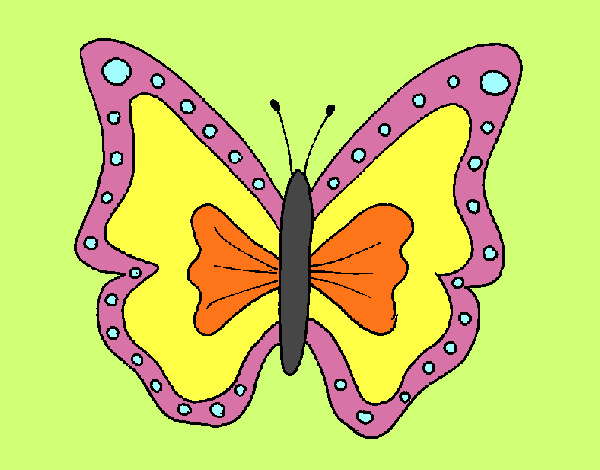 Mariposa 4a