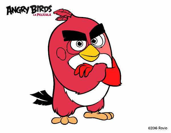 Red de Angry Birds