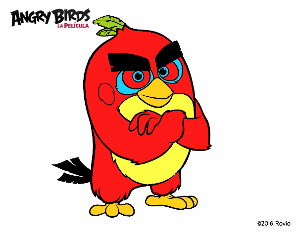 Red de Angry Birds