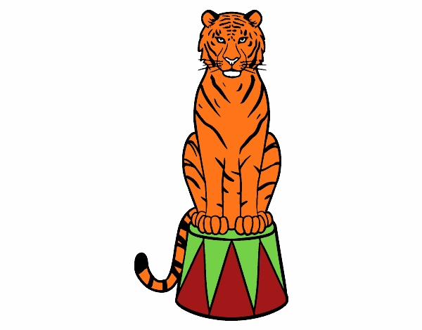 Tigre de circo