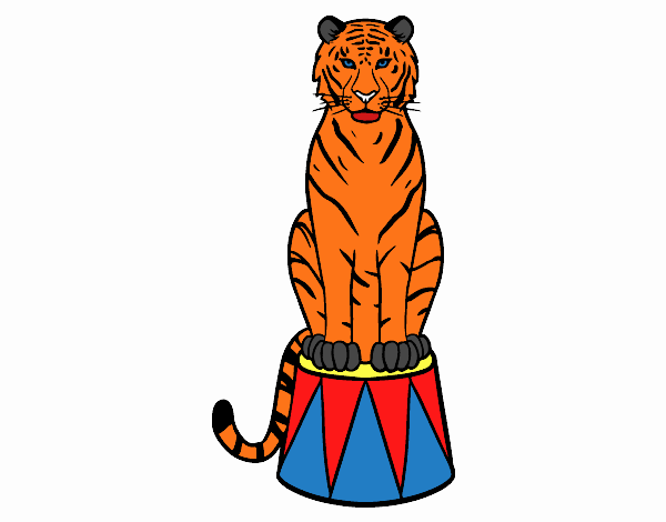 Tigre de circo