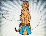 Dibujo Tigre de circo pintado por berp 