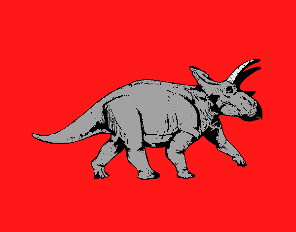 Triceratops 1