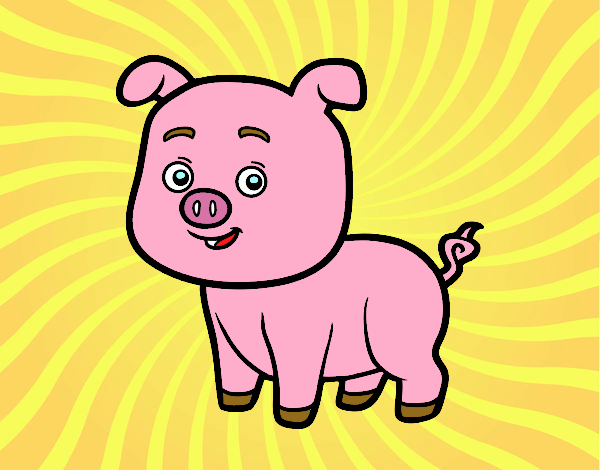 cerdito