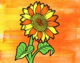 Dibujo Un girasol pintado por isabel2k