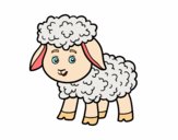 Dibujo Una ovejita pintado por Cesar1730