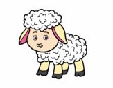 Una ovejita