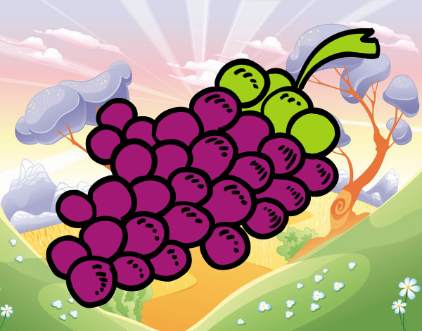 Uvas moradas