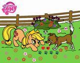 Applejack y Winona