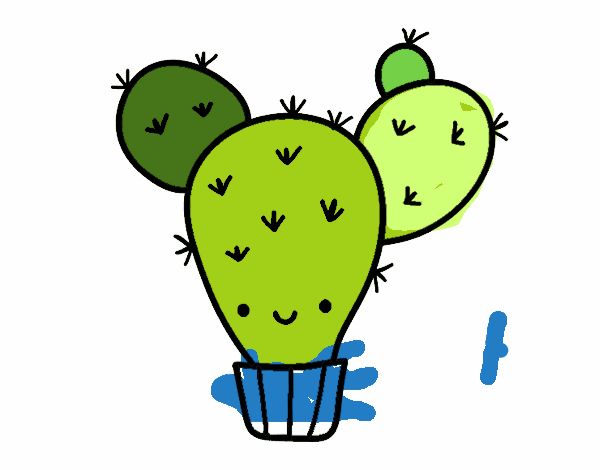 Cactus nopal