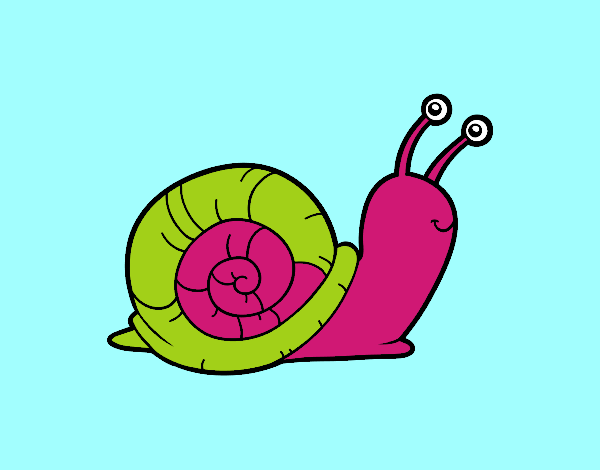 El caracol