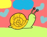 El caracol