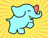 Elefante bailarín