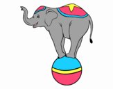 Elefante equilibrista