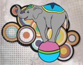 Dibujo Elefante equilibrista pintado por Ramon45