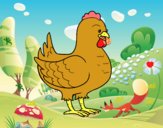 Gallina de una granja