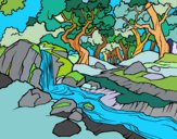 Dibujo Paisaje de bosque con un río pintado por Ramon45