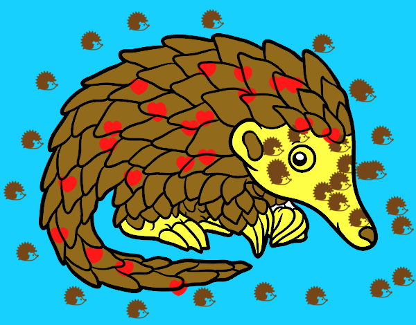 Pangolin