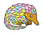 Pangolin