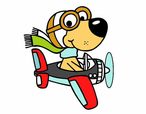 Perro piloto